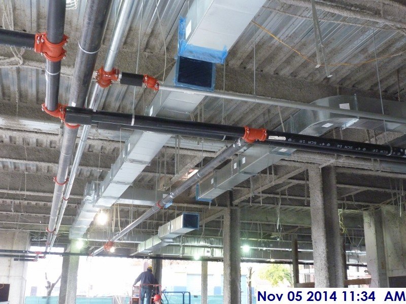 Installing the main Sprinkler pipe at the 1st Floor Facing West (800x600)